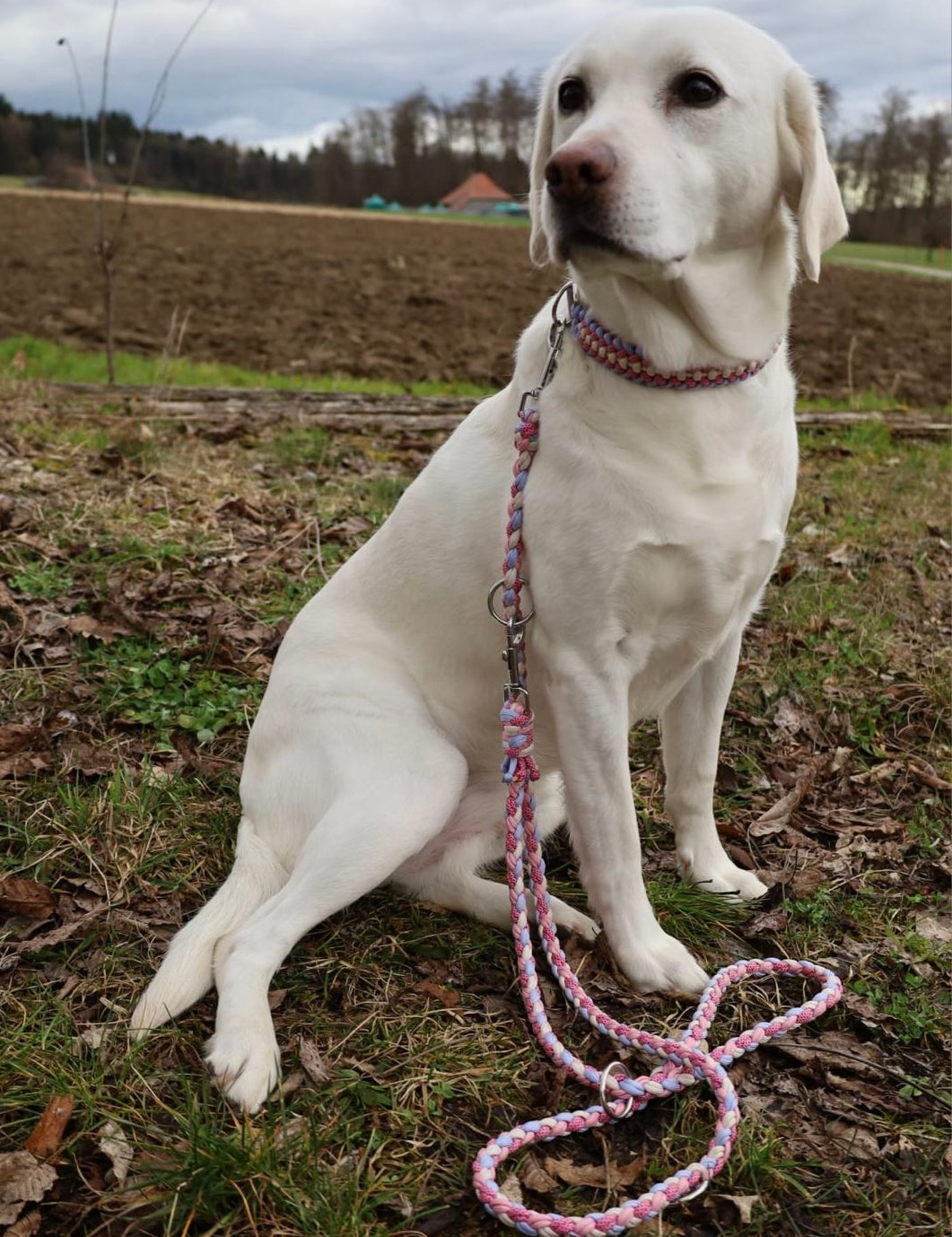 Paracord Hundeleine personalisiert