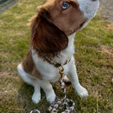 Handgefertigtes Hundehalsband braun