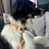 Signature Terra Halsband