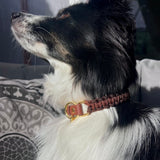 Signature Hazel Halsband