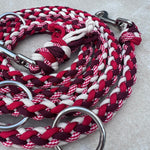Paracord Hundeleine personalisierbar