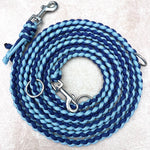 Paracord Hundeleine Blau