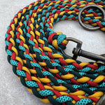 Bunte Hundeleine Paracord