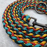 Bunte Hundeleine Paracord