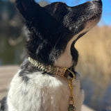 Personalisierbares Hundehalsband