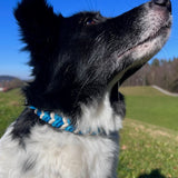 Handgefertigtes Hundehalsband blau