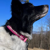 Paracord Halsband Hund pink