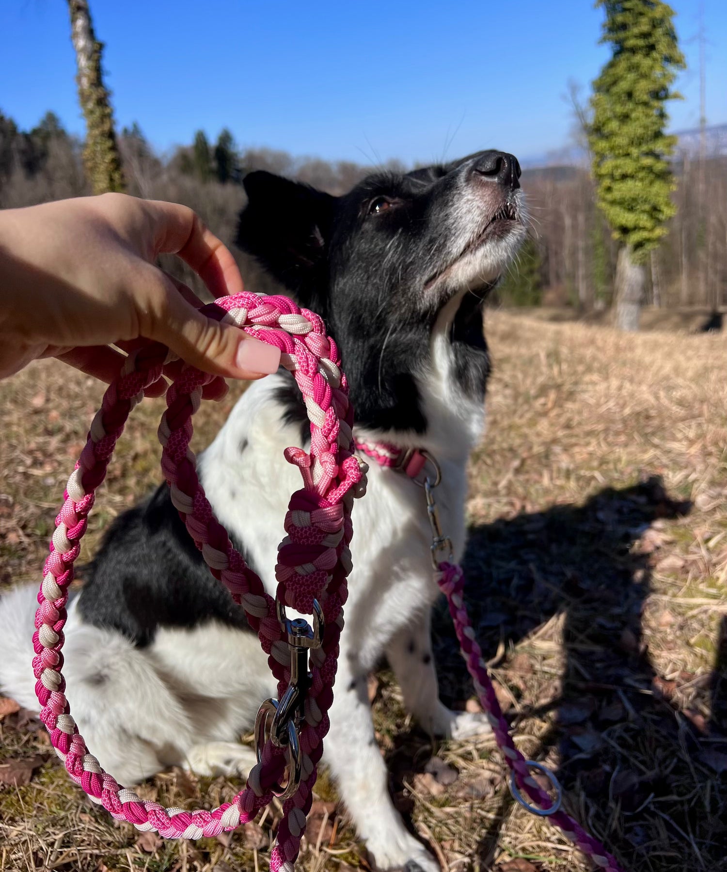 Handgefertigte Paracord Hundeleine