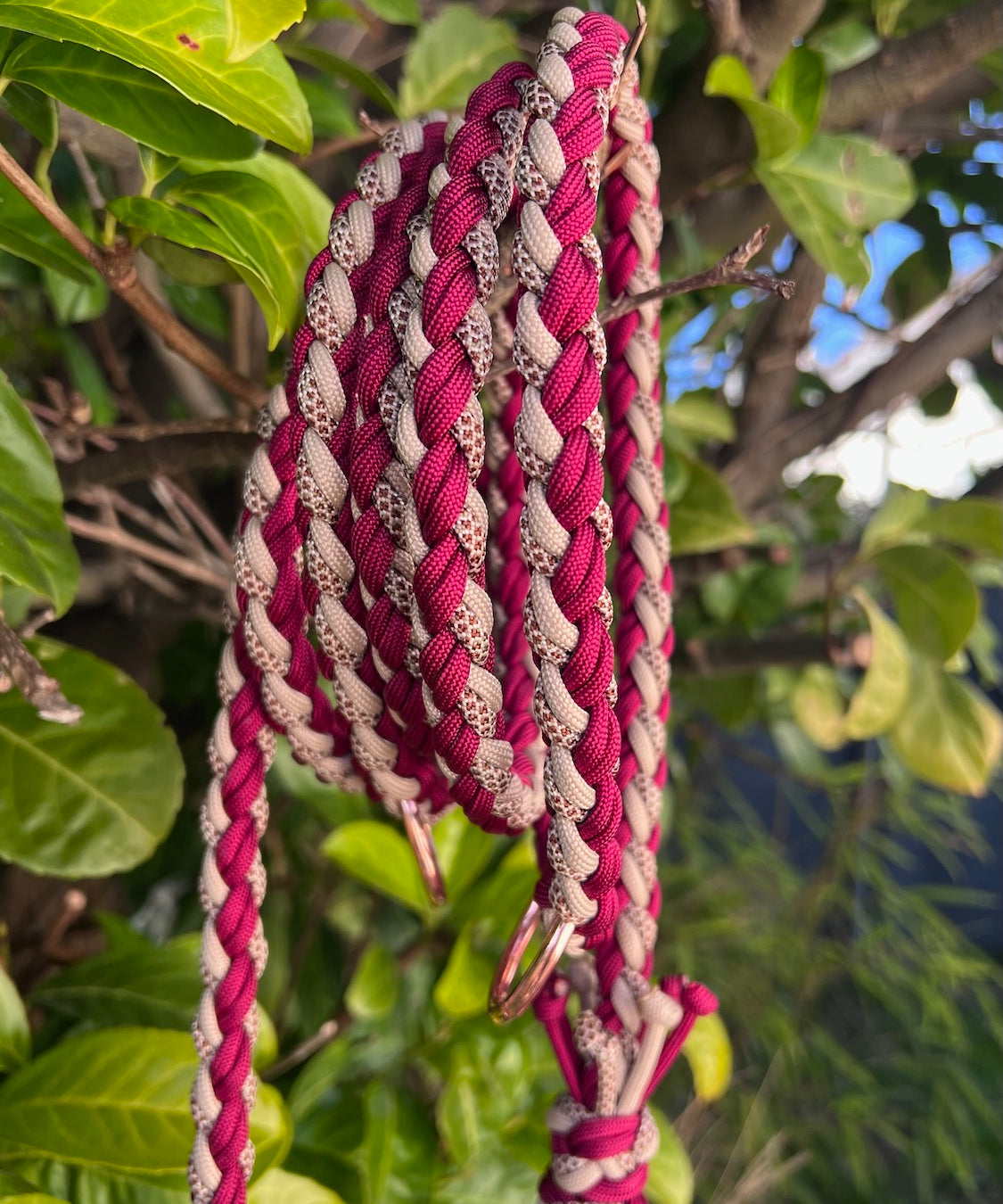 Handgefertigte Paracord Hundeleine