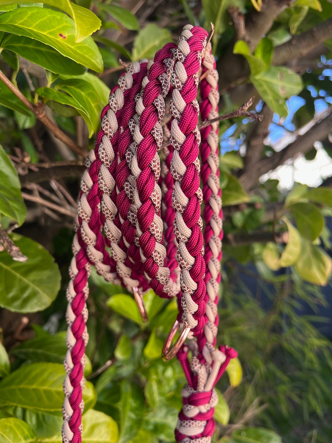 Handgefertigte Paracord Hundeleine