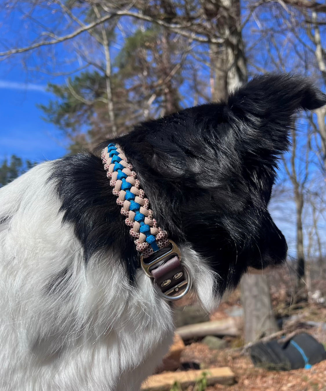 Hundehalsband Paracord Braun