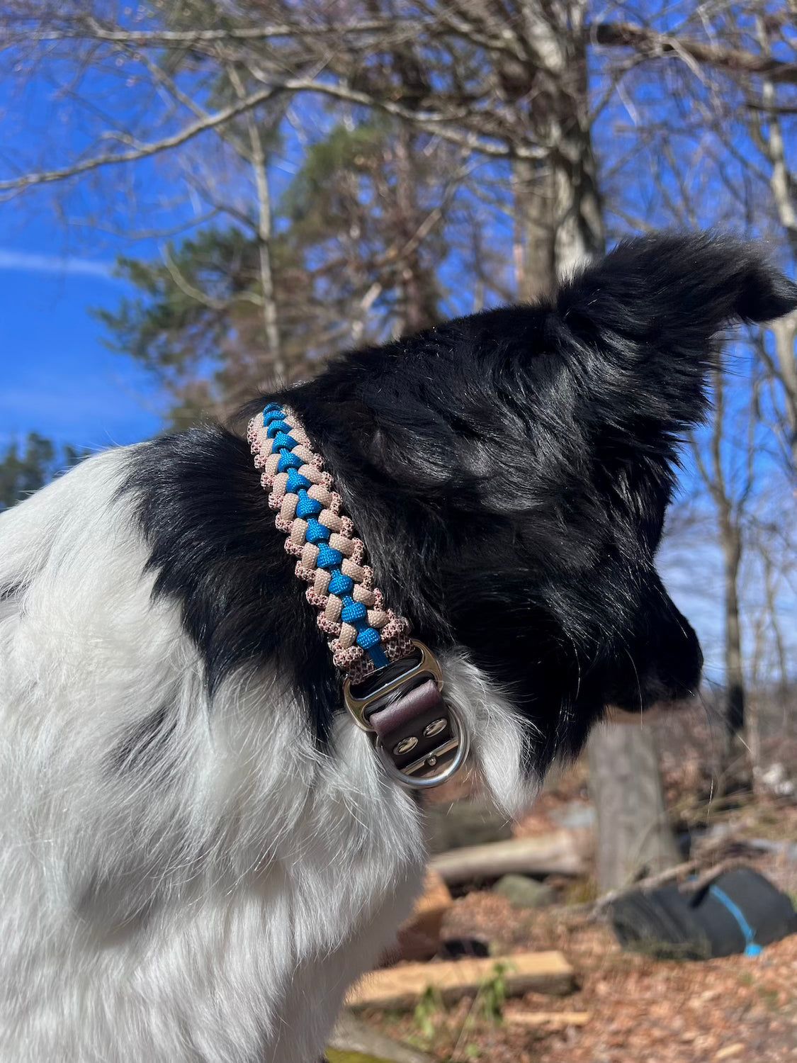 Hundehalsband Paracord Braun