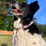 Signature Lavender Halsband