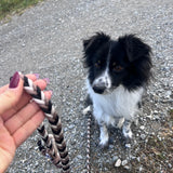 Handgefertigte Hundeleine Paracord