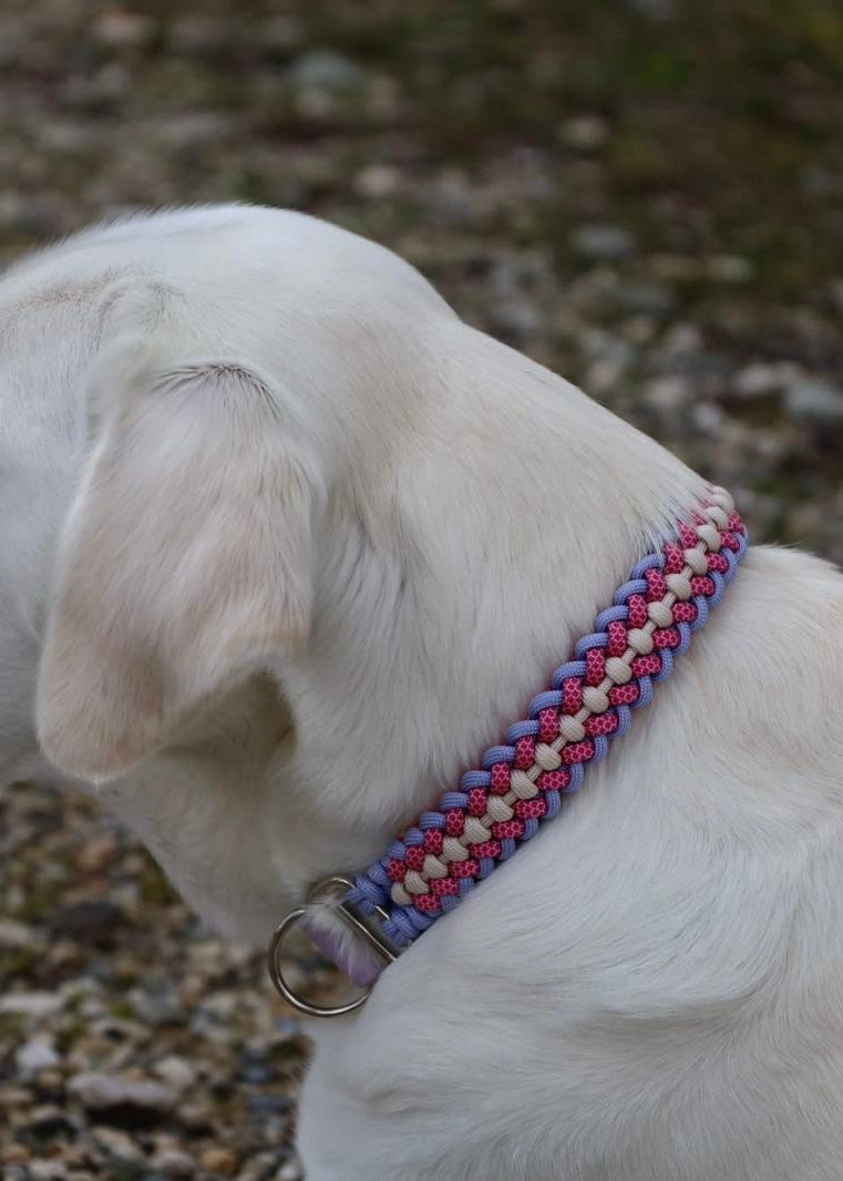 Paracord Halsband personalisiert