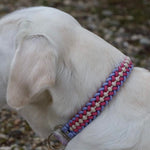 Paracord Halsband personalisiert