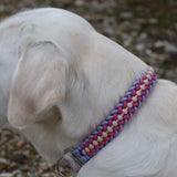 Paracord Halsband personalisiert