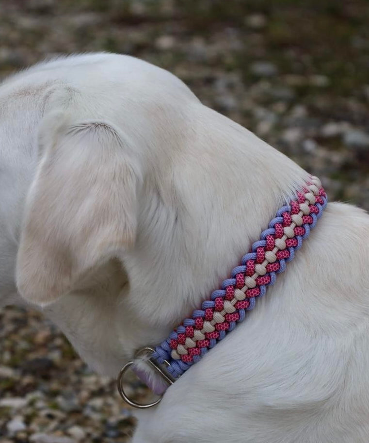 Paracord Halsband personalisiert