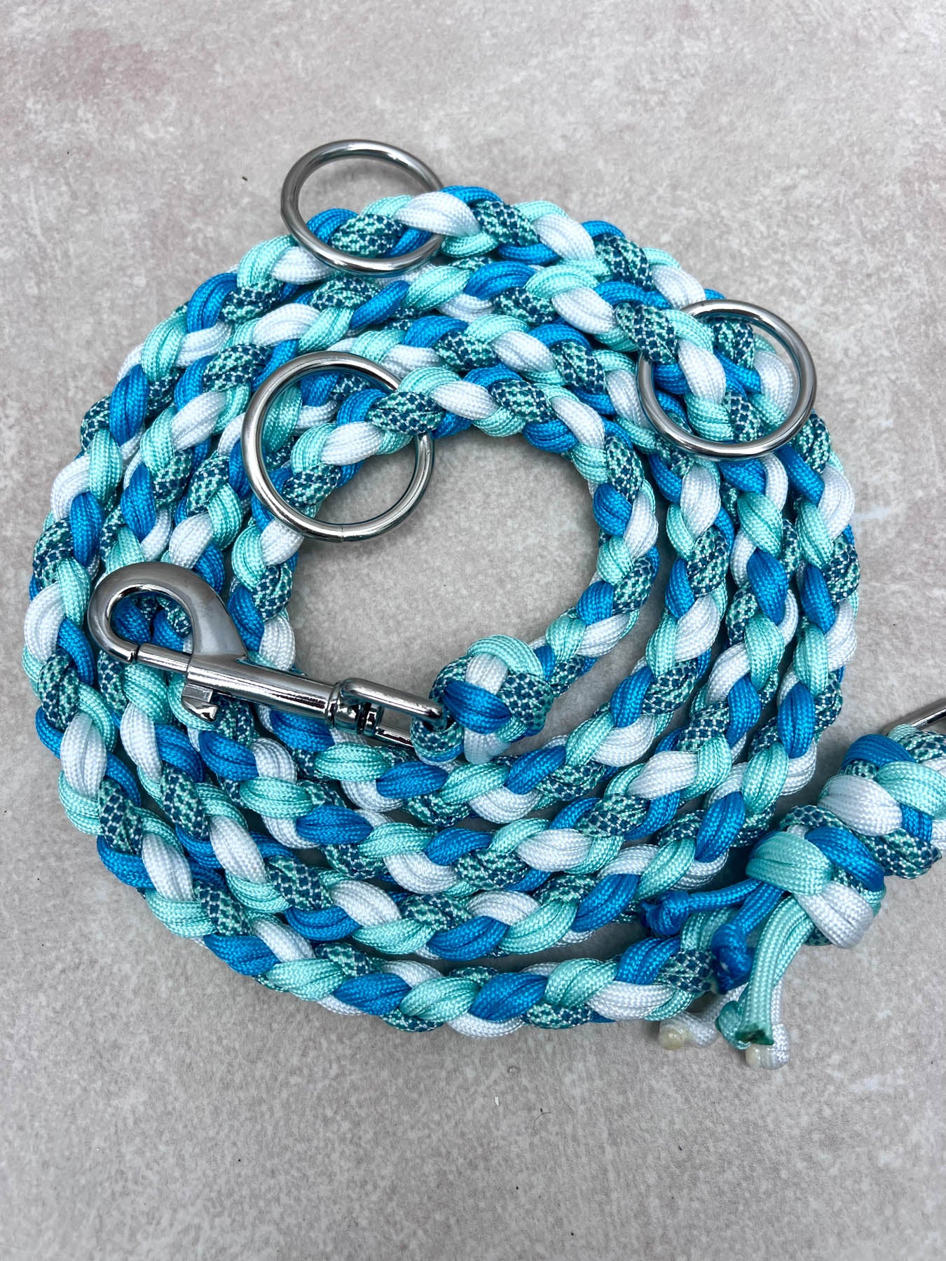 Set WAVES (grosse Hunde)