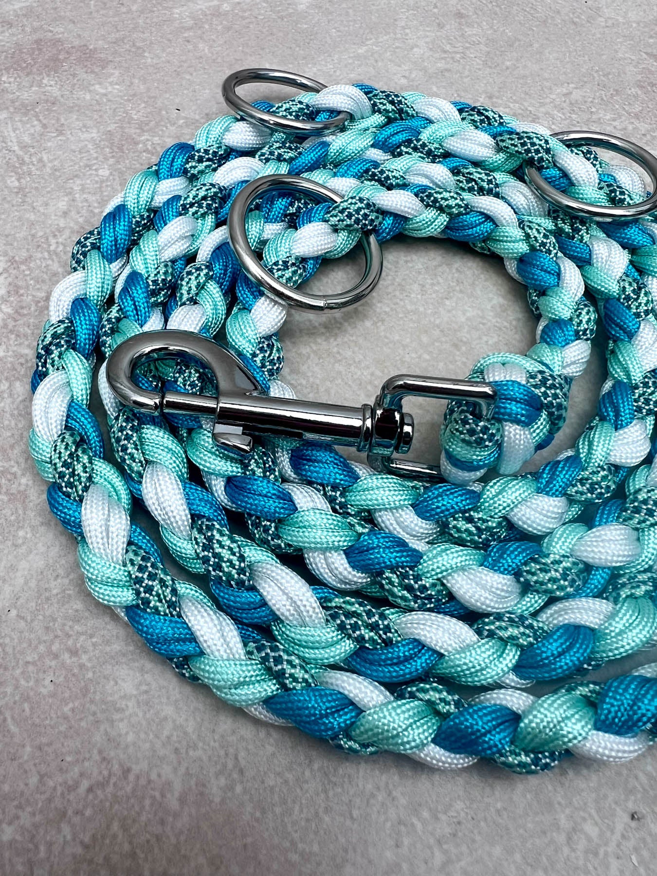 Set WAVES (grosse Hunde)