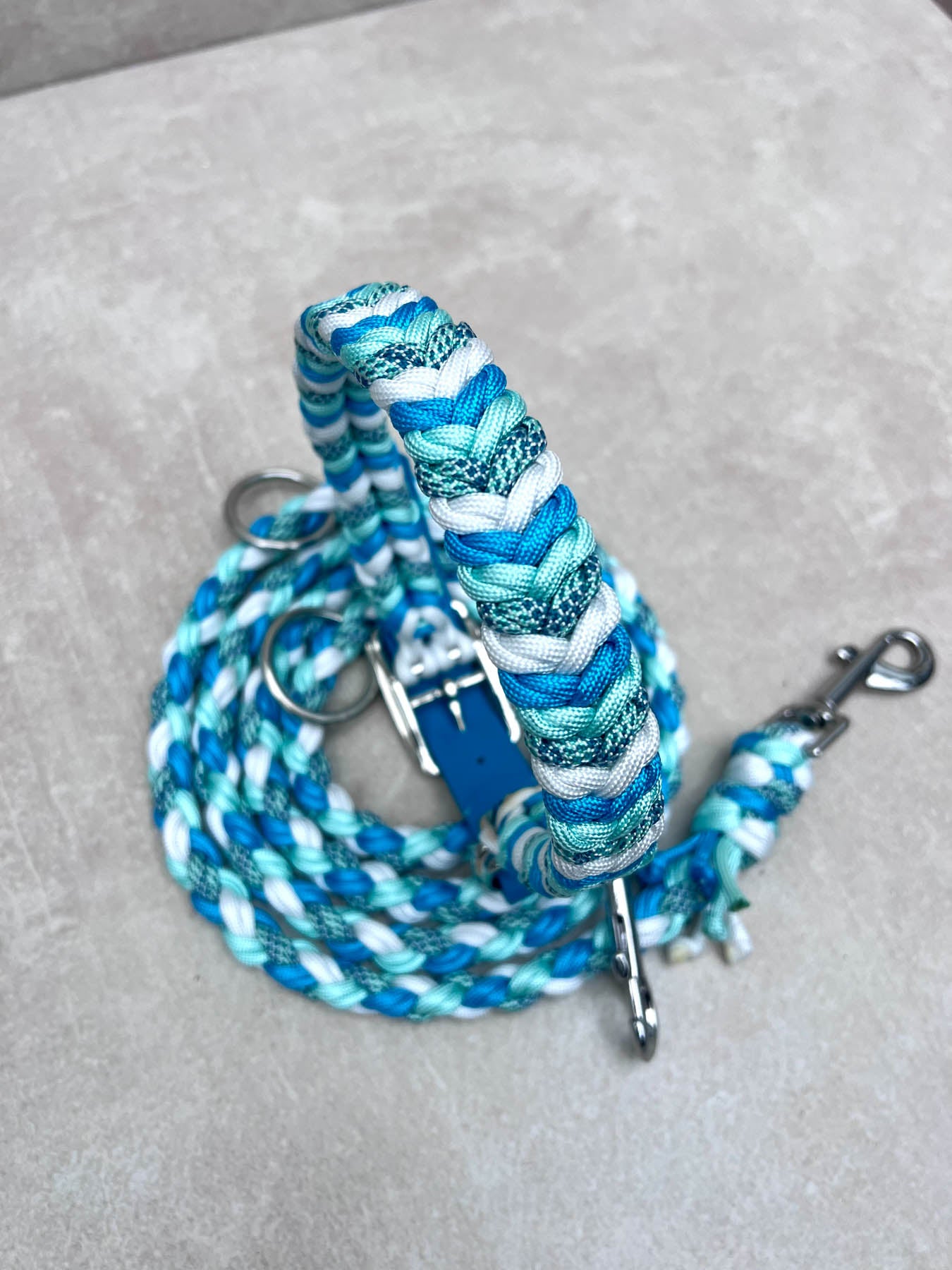 Set WAVES (grosse Hunde)