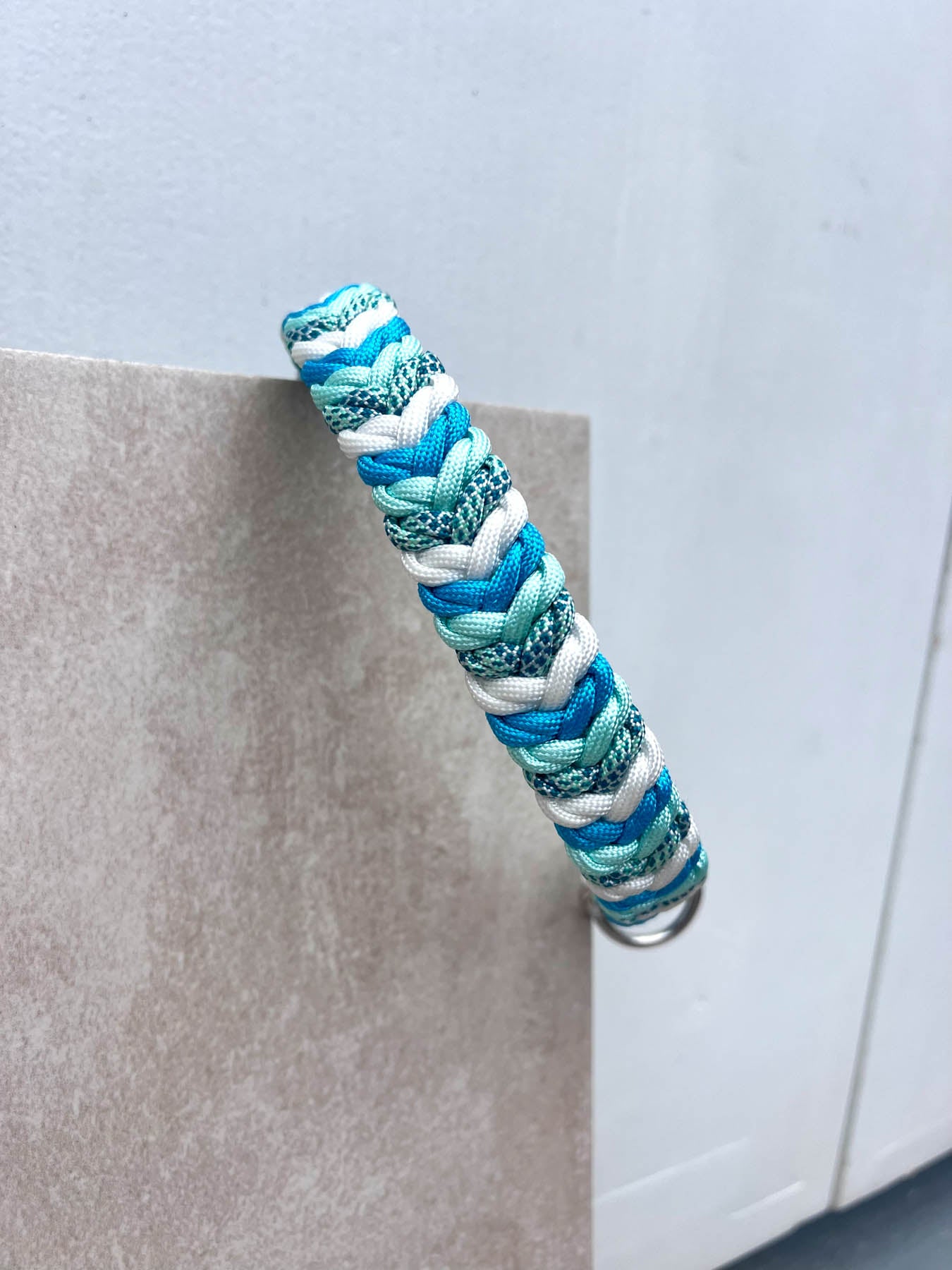 Set WAVES (grosse Hunde)