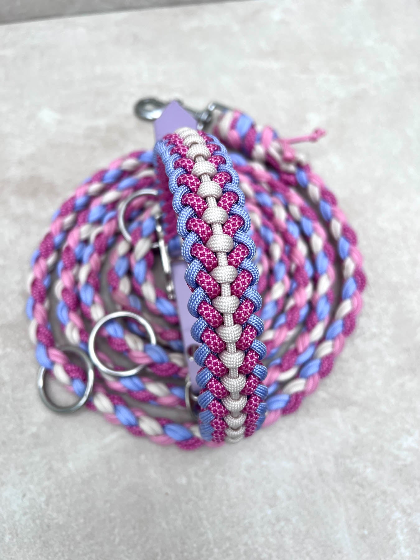 Set CANDY (grosse Hunde)