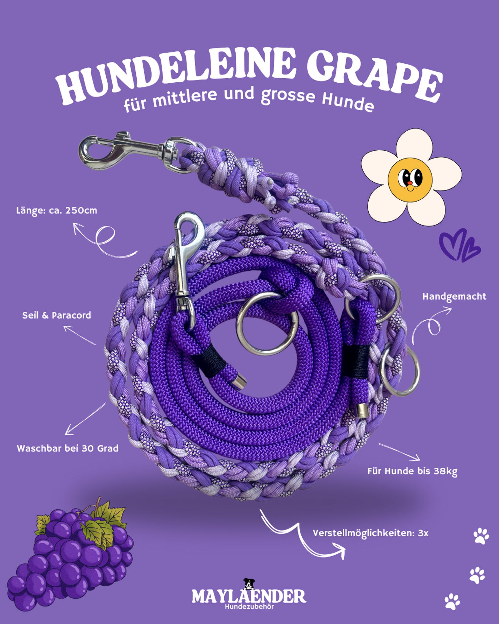 Leine GRAPE (mittlere & grosse Hunde)