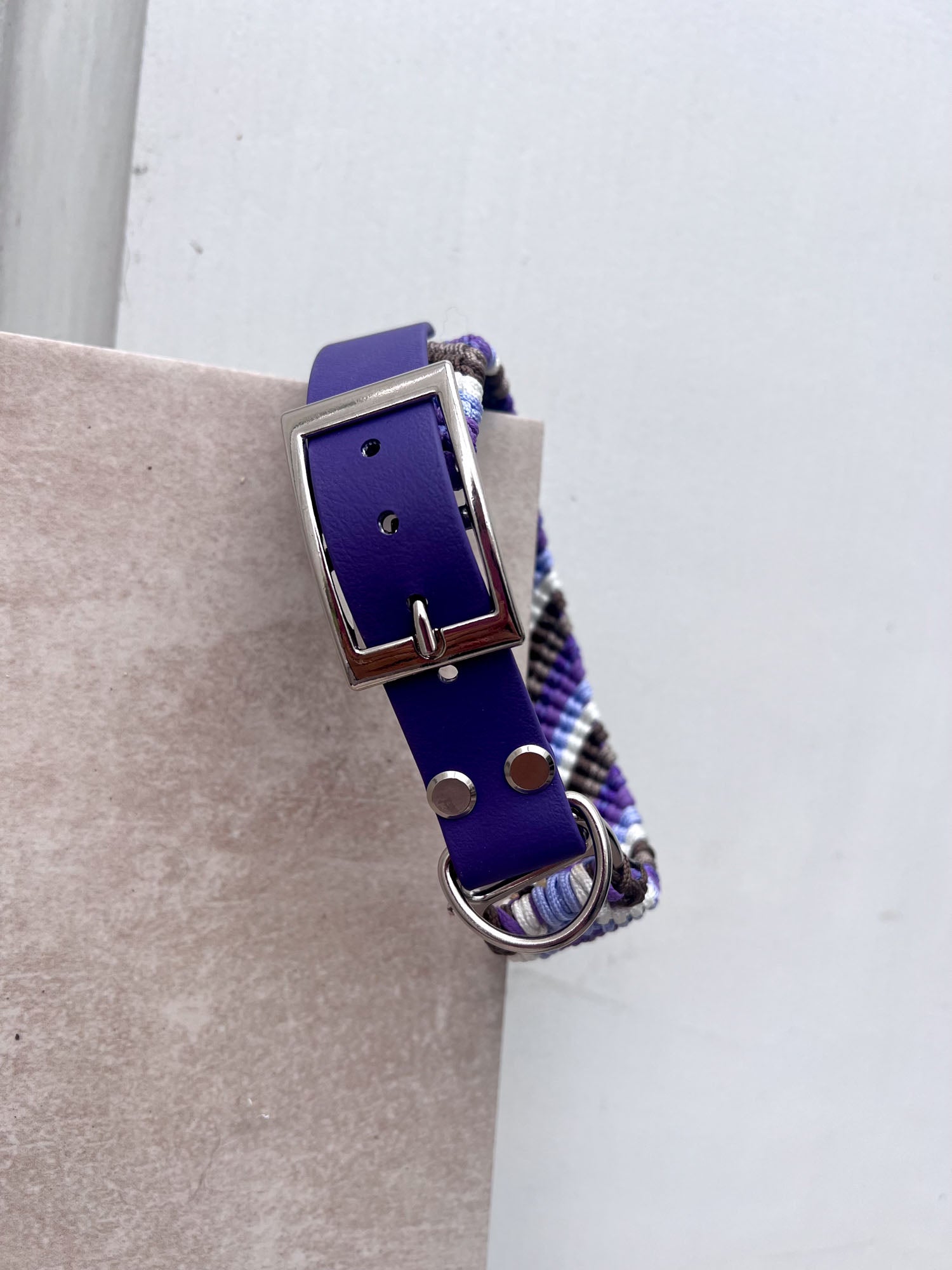 Halsband FRIENDSHIP (mittlere & grosse Hunde)